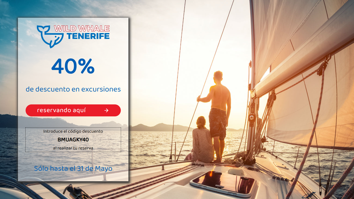 imagen web barcos